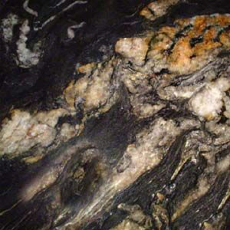 Granite Colors That Will Match With Oak, What Countertops Go With Honey Oak Cabinets