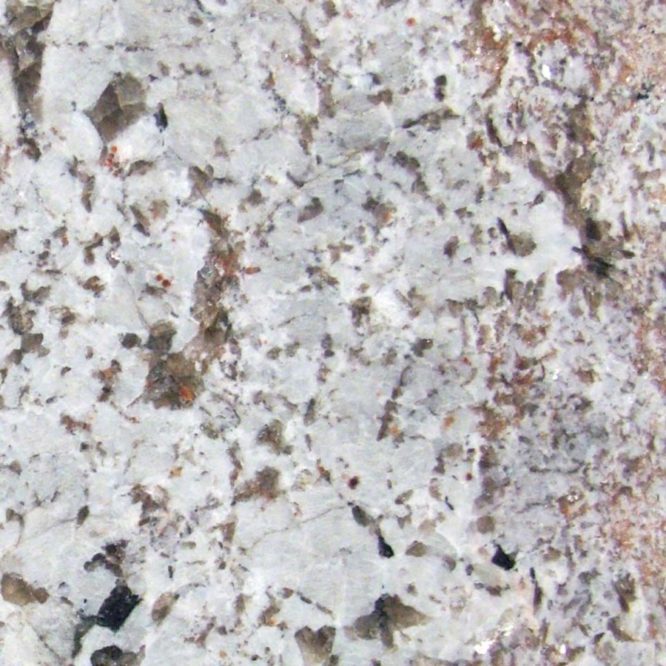 Detailed View of Bianco Antico Granite