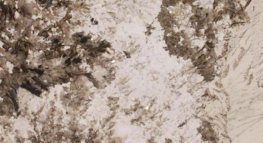 Alpine White Granite
