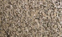 Autumn Beige Granite